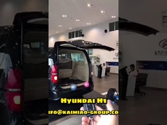 Hyundai H1 Automatic Tailgate Lift مع عمود مزدوج في سوق ما بعد البيع العالمي للسيارات
